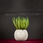 Senecio Variegato - Fiori finti e artificiali di qualità