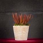 Senecio Rosso - Fiori finti e artificiali di qualità