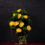 Areca
