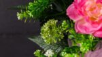 Astilbe - immagine 3