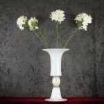 Agapanthus Bianco