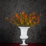 Fiori di Complemento Arancio