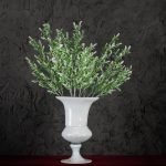 Fiori di Complemento Bianco