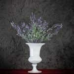 Fiori di Complemento Lilla