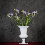 Fresia Viola