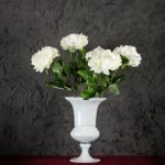 Steli di Peonie Bianche