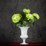Steli di Peonie Verdi
