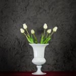 Tulipani Bianchi