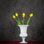 Tulipani Gialli