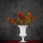 Wax Flower Arancio