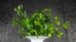 Ruscus - immagine 2
