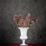 Wax Flower Rosa