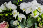 Composizione Luxury - immagine 8